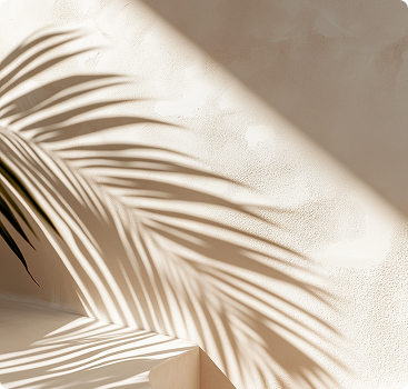 Transformation soft shadow with leaves on beige background